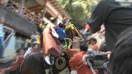 【三重】動物愛護法違反の疑いで書類送検された「上げ馬神事」の関係者12人不起訴 「犯罪の成立を認定すべき証拠が不十分だった」