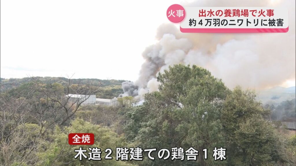 【鹿児島】出水市養鶏場で火事 ニワトリ4万羽に被害か