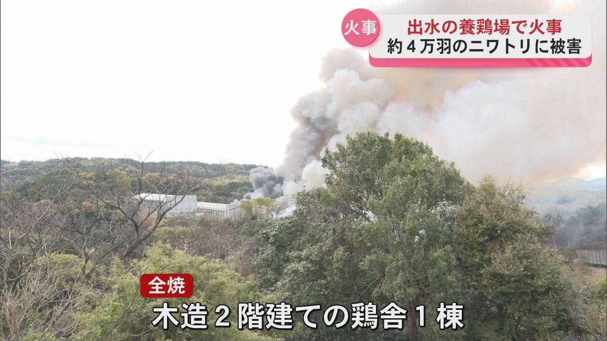 【鹿児島】出水市養鶏場で火事 ニワトリ4万羽に被害か