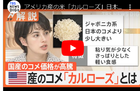 【お得】東京の業務スーパー米国産カルローズ米10kgが税抜三千円 日本産との違いは？国産米の価格高騰「低価格帯のコメは品薄」