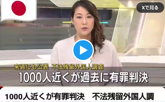 【不法滞在】外国人 8万人の内、3103人が退去 強制命令を拒否し、その内の 30%にあたる 1000人 が過去に有罪判決を受けている…、強制的に送還するのは当たり前だ