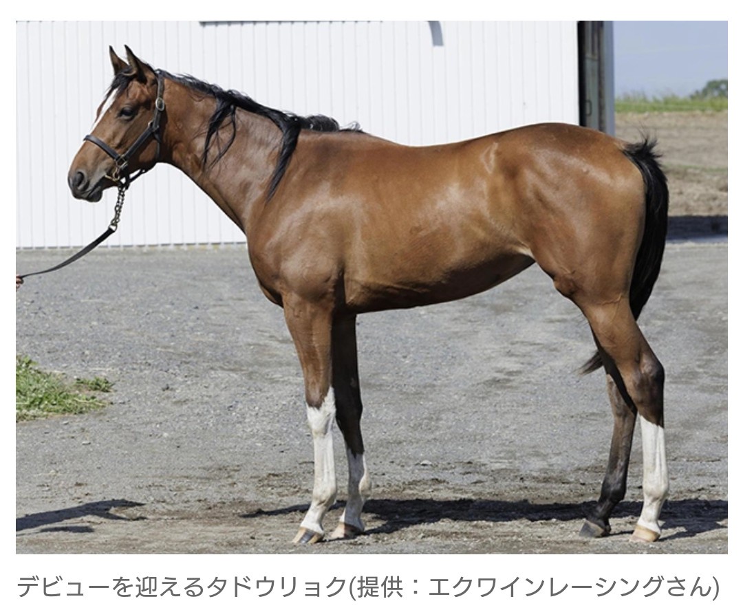 【競馬】“ホリエモン”こと堀江貴文氏　土曜中山の新馬戦で馬主復帰戦　JRAでの所有馬出走は19年ぶり