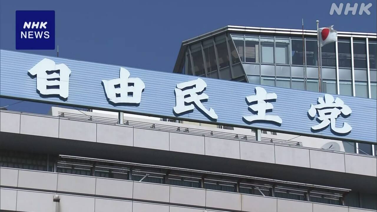 【TBS報道特集】自民党が反対続ける「選択的夫婦別姓」　30年間議論が進まない背景にある“事情”とは？