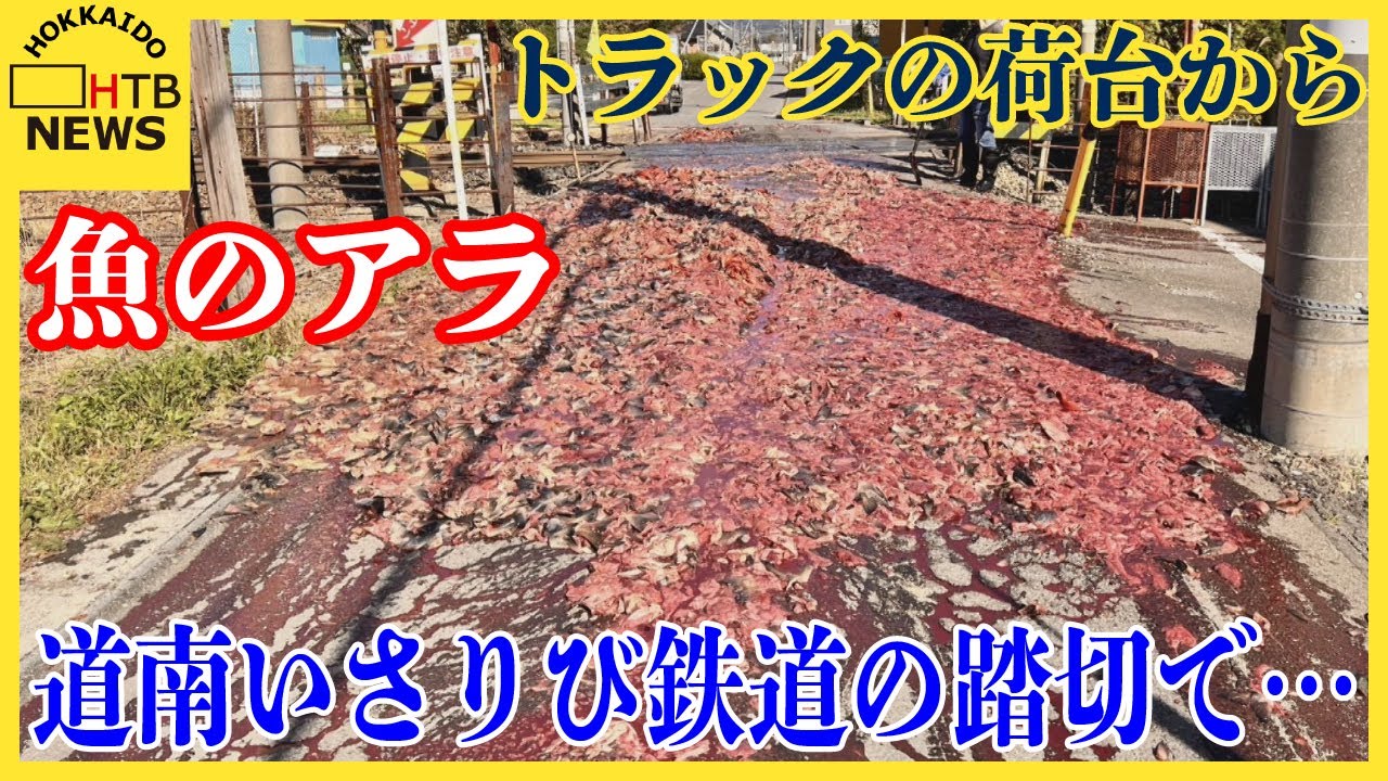 【社会】「踏切を通行した時に荷台から魚のアラが落ちた」北海道・北斗市の道南いさりび鉄道の踏切で大量の魚が散乱