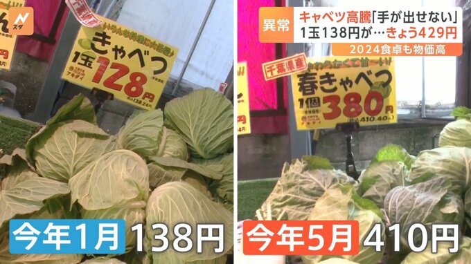 【気候変動】キャベツ高騰で1玉400円超、茨城県で盗難相次ぐ