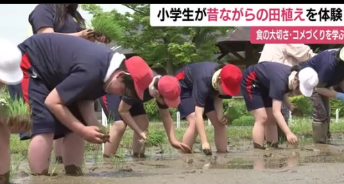 【朗報】農家、子供の田植え体験にキレる「こんな田植え誰もしてない、大変なんて印象植え付けるな」